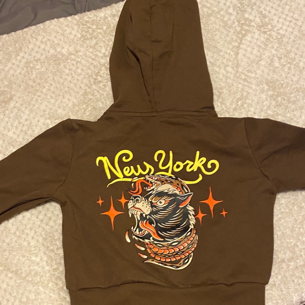 Ed Hardy Brown Hoodie with Graphic Print